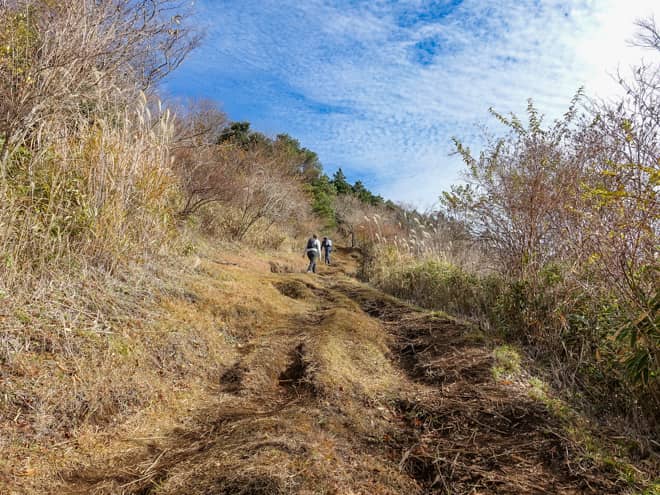 明神ヶ岳山頂まではチェックポイントになる目印