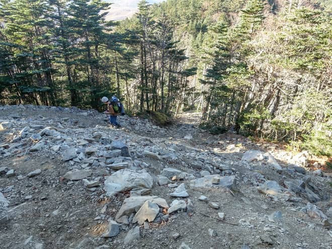樹林帯に突入してもガレ場