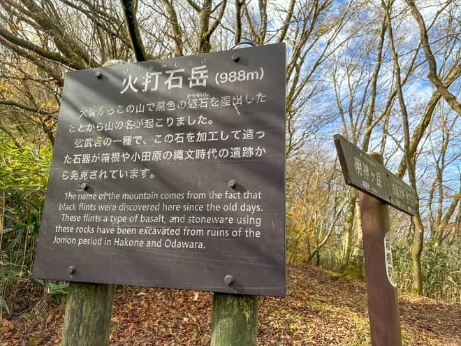 樹林帯の登山道を登りきると
