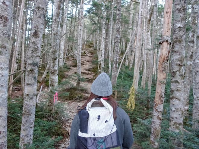 登山道は岩と倒木があり