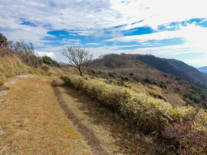 目の前に見える横に長く伸びた尾根が明神ヶ岳