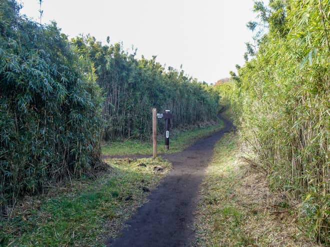 矢倉沢峠分岐に到着です