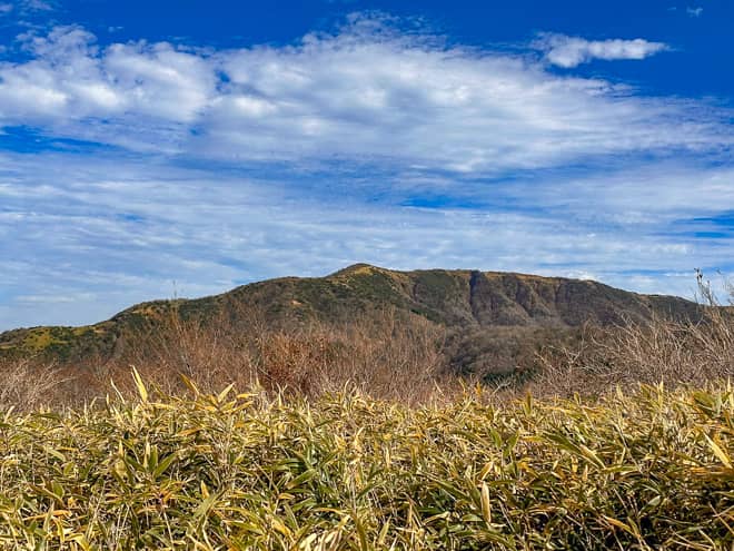 都心からのアクセスが良好で