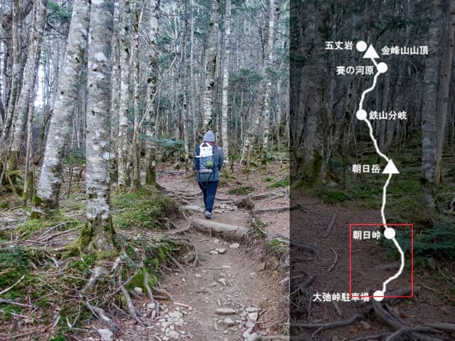 金峰山登山口→朝日峠
