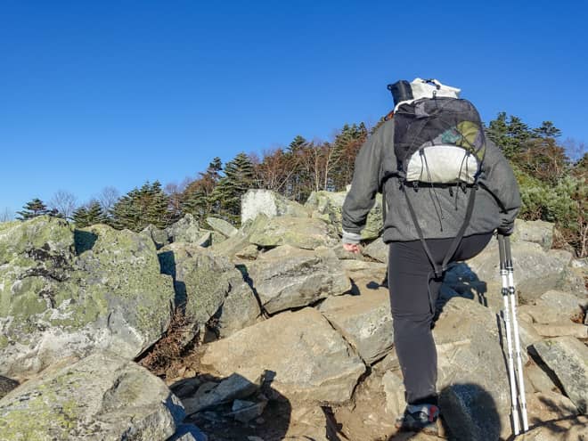 700メートル程度、景色の変わらない登山道を歩き進めると