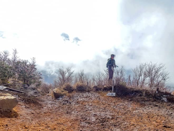 ただ、西側には木々が無く