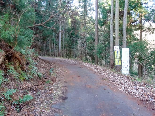 つづら折りの登りやすい道ですが