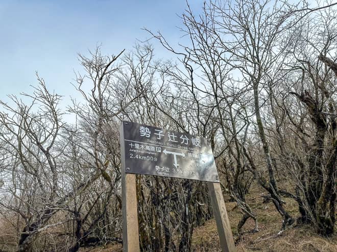 ひたすら樹林帯の急こう配を登ると (2)