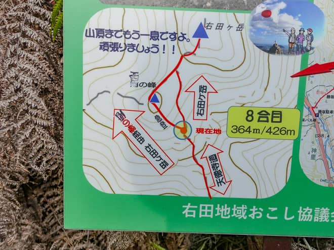 バリエーションルートを含める