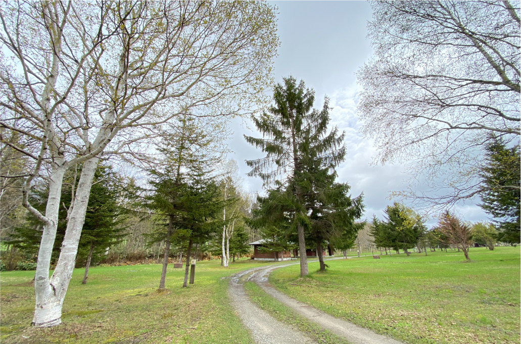 ピンネシリヴィレッジファームパークのテントカーサイト