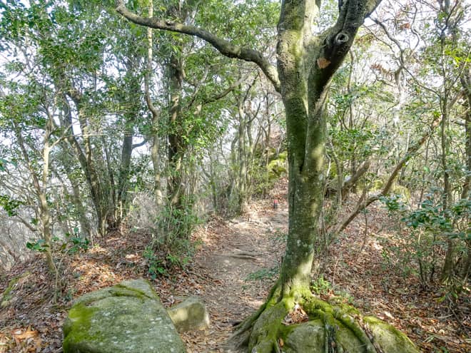 下山で利用する「塚原コース」は