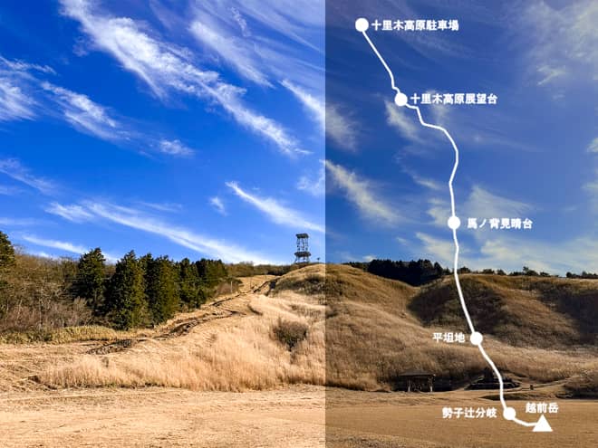 今日ご紹介するのは十里木