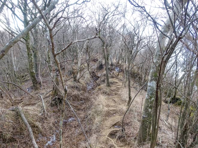 十里木高原から登頂する場合