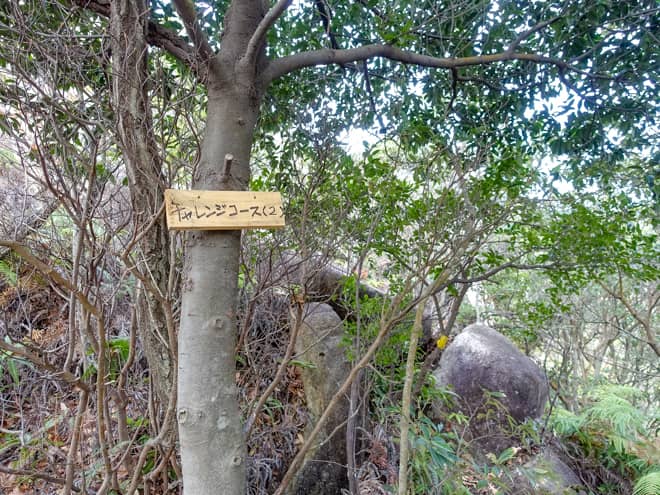 右田ヶ岳の登山道は本当に多岐に渡り
