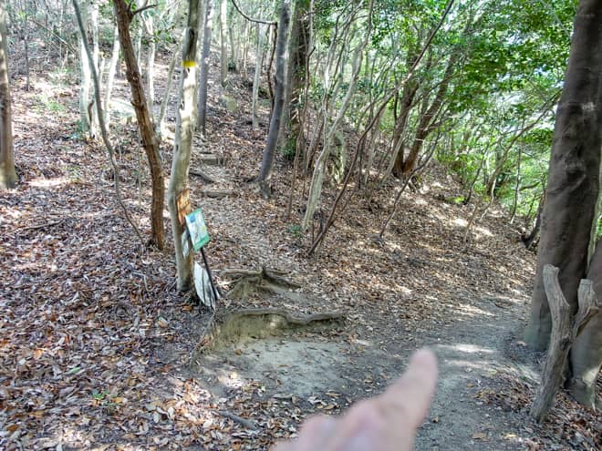 右田ヶ岳は登山コースが充実していて