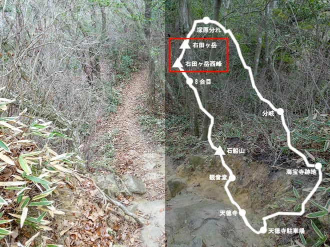 右田ヶ岳西峰-→-右田ヶ岳