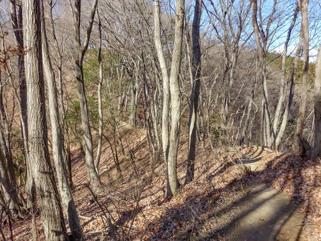 多少のアップダウンはあるとはいえ (2)