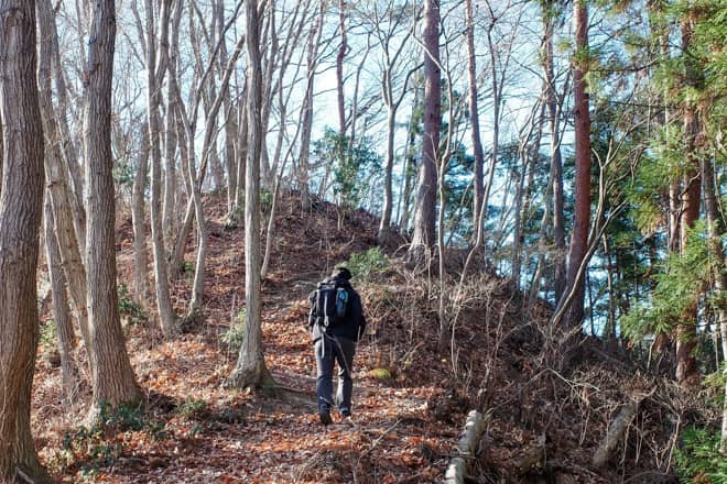 宝登山までは緩やかな尾根歩きで