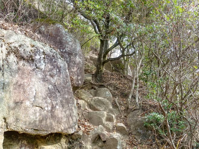 山頂直下も謎の分岐が多く