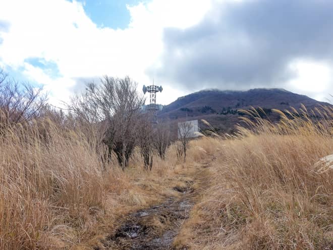 左手に電波塔が見えてきたら