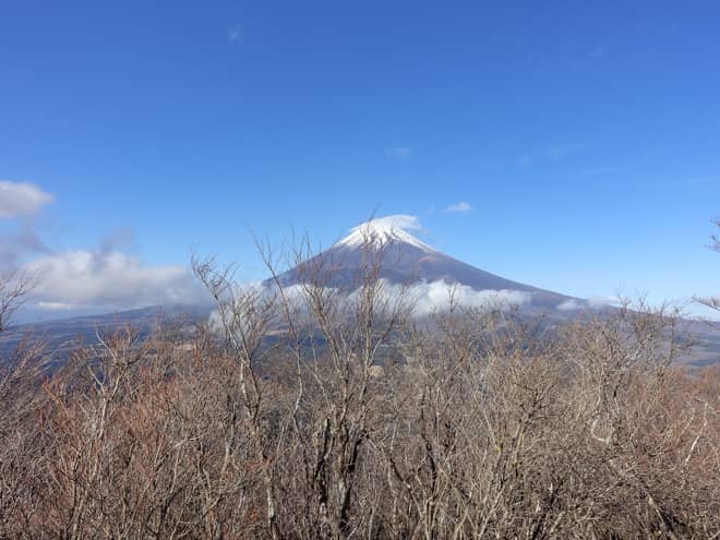平坦地は開けているので