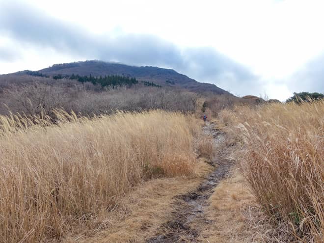 愛鷹山の最高峰は愛鷹連峰の北側に位置する