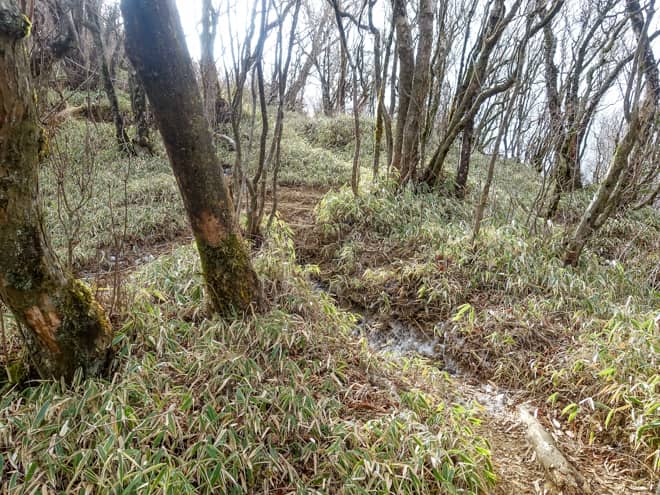 更に厄介なのが、謎の分岐だらけで