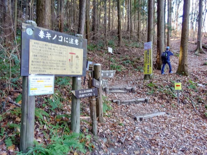 理由は、宝登山登山口には