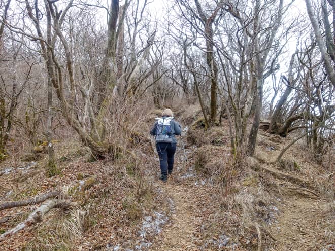 越前岳を登ってみてわかったこと