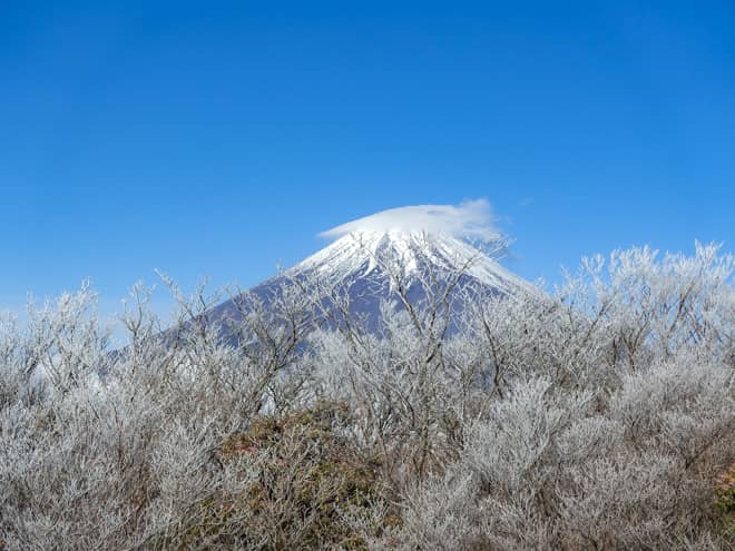 越前岳山頂からの景色