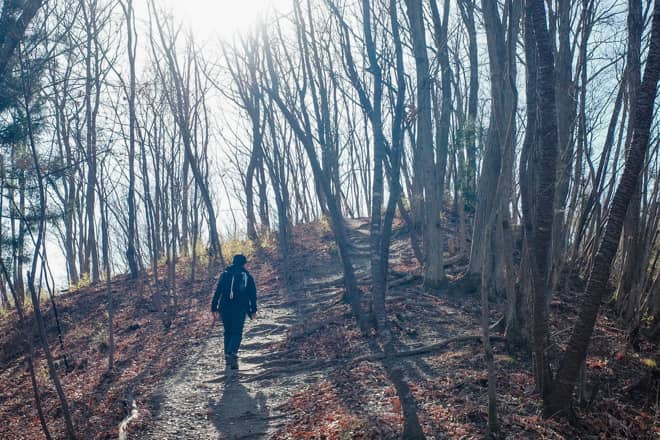 途中に「野上峠」や「小鳥峠」といった