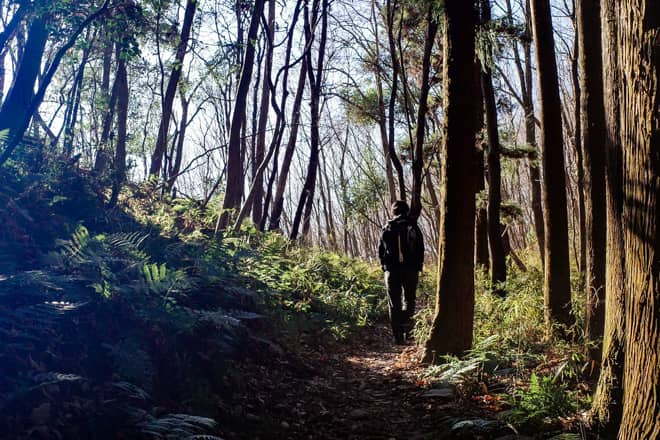 長瀞アルプスを歩いててみてわかったこと