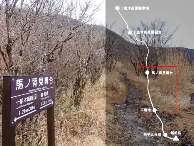 馬ノ背見晴台→平坦地