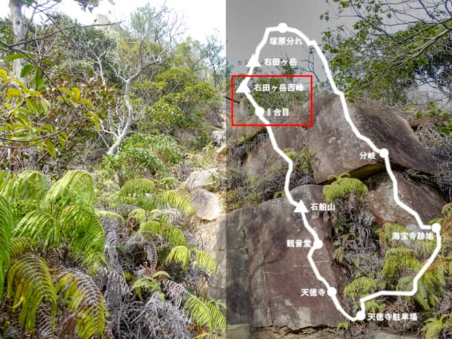 8合目-→-右田ヶ岳西峰