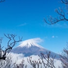 富士山が目の前「愛鷹山」愛鷹連峰最高峰「越前岳」から富士山ドーンの絶景を満喫しよう