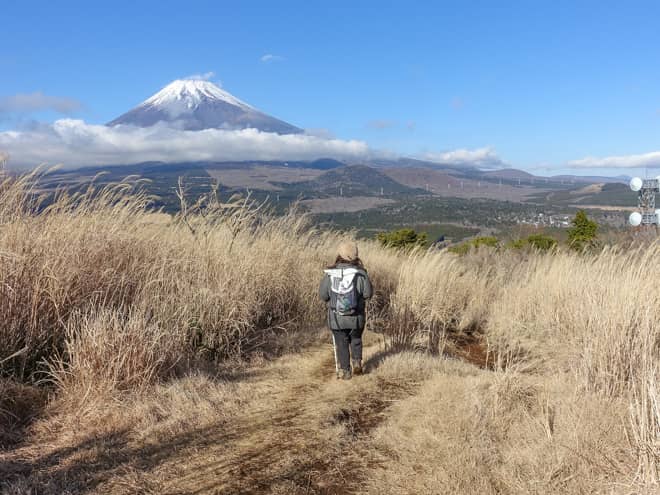 山頂よりも展望台のほうが富士山ドーンの山です