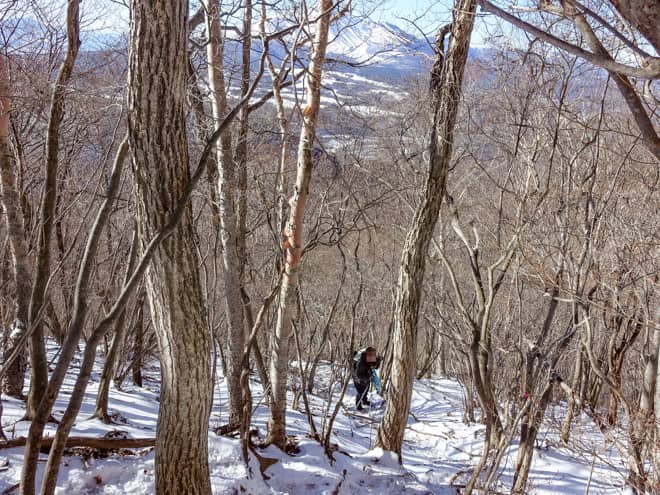 この区間の登りは本当に辛