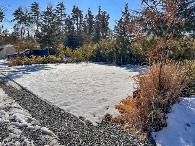 サイトの地面の特徴「八ヶ岳Air-ground」