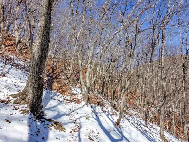 チェックポイントの分岐までは