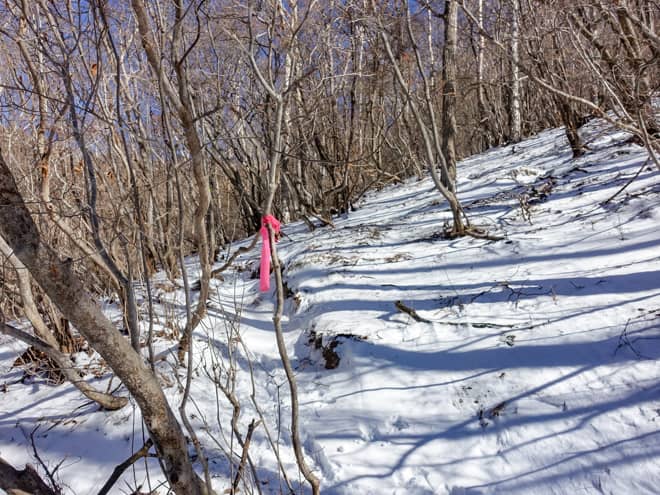 一見、直登ルートに見えるのですが