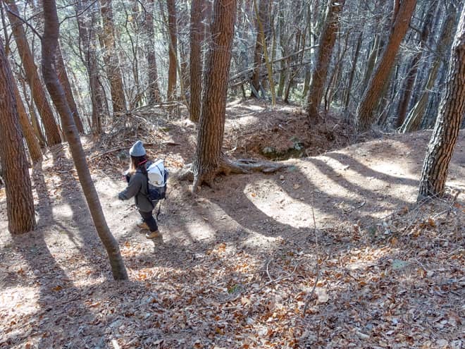下山では思っていた以上に爆速とはいきませ