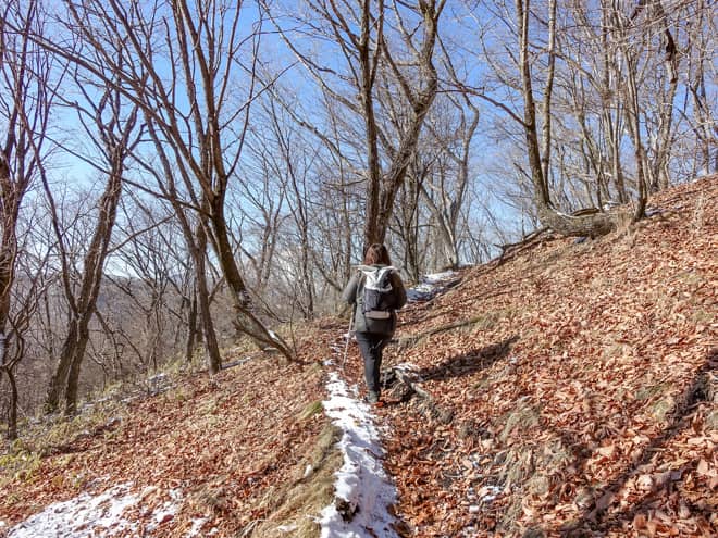 大きく蛇行を繰り返しながら