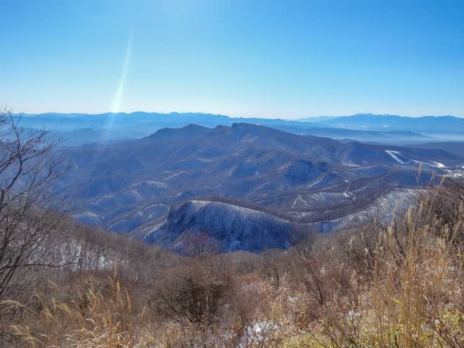 山頂手前の尾根道では木々が無くなり