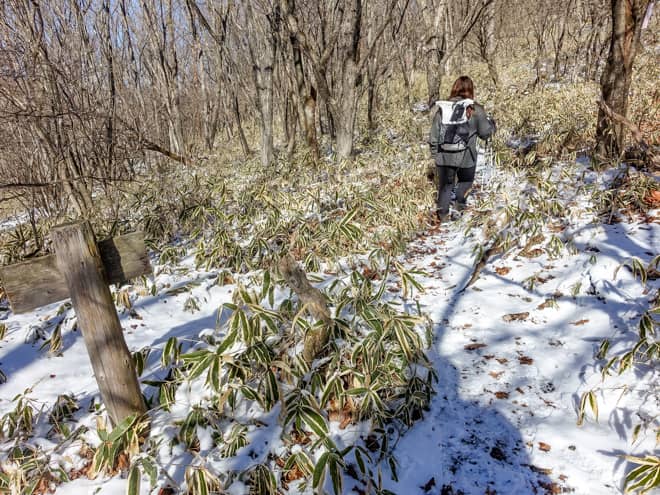 暫く進むと北軽井沢からの合流地点の分岐