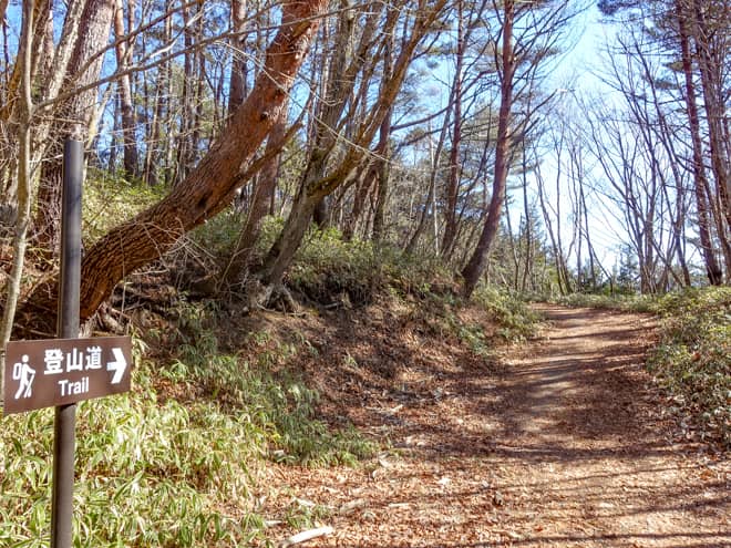 最後の登山道歩きは平坦な道のりです