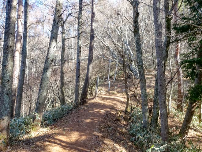 歩きやすい緩やかな道のりに差し掛かると