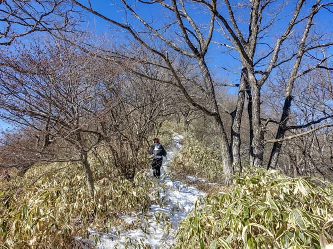 段々と木々が低くなり、見晴らしの良い尾根道歩き