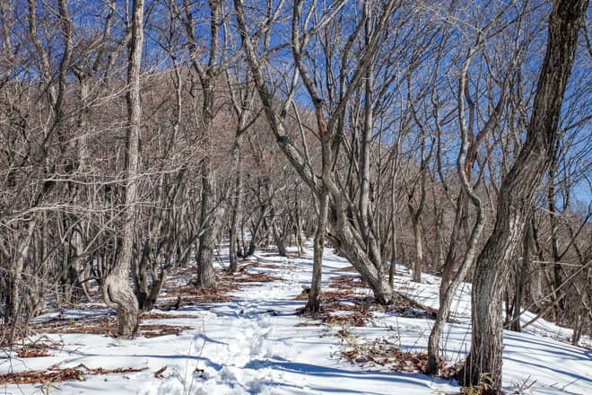 浅間隠山は最短コースを使えば