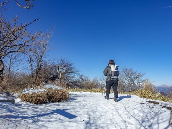 浅間隠山山頂からの景色