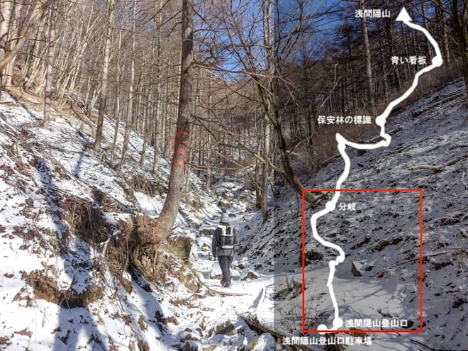 浅間隠山登山口→分岐